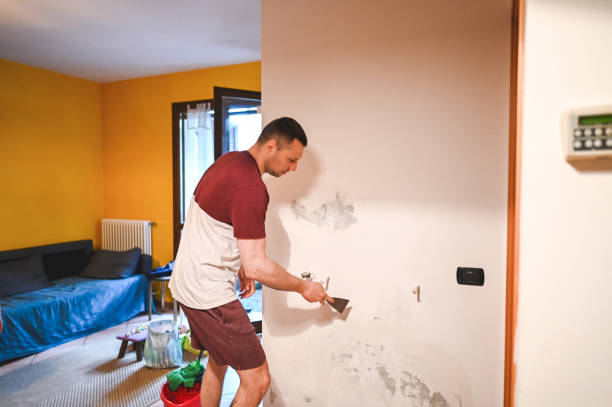 Best Mold Remediation Services  in Keyser, WV
