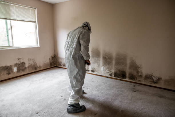 Water Damage Restoration in Keyser, WV
